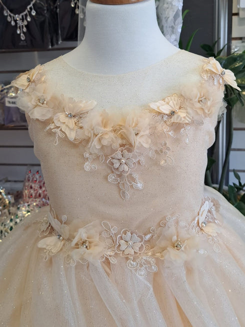 Little Girls Champagne Illusion Neckline Floral Applique Glitter Tulle Dress 2-6 - SophiasStyle.com